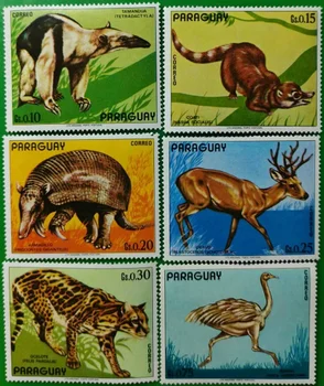 6 ШТ Почтовая марка Парагвая, 1972, дикие животные, настоящий оригинал, коллекция марок, MNH