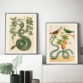 Винтажный плакат со змеей и птицей, Орнитологический Змей, Антикварные принты, природа, настенное искусство, холст, живопись, настенные панно для декора гостиной