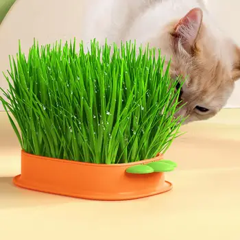 Сеялка для кошачьей травы В форме моркови Многослойный дизайн, Полая сетка, Двухслойная гидропоника без почвы, коробка для посадки кошачьих растений для домашнего использования