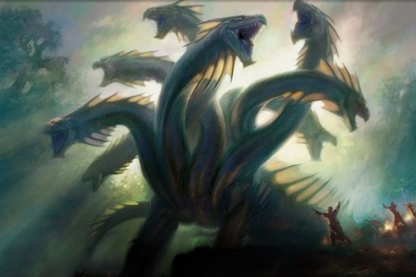 Kraken 24 at