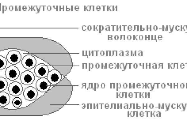 Рабочая ссылка на кракен в торе