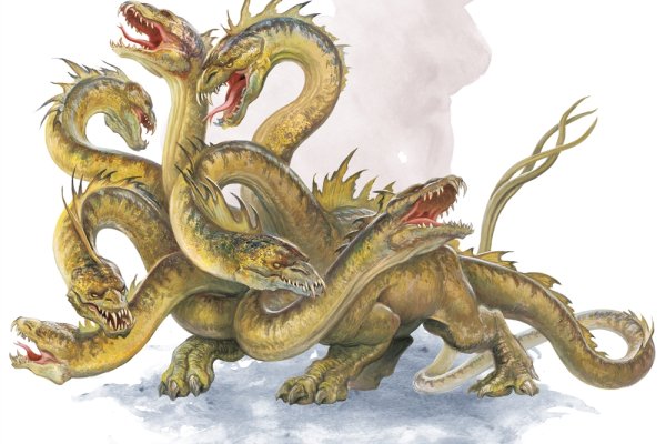 Hydra kraken