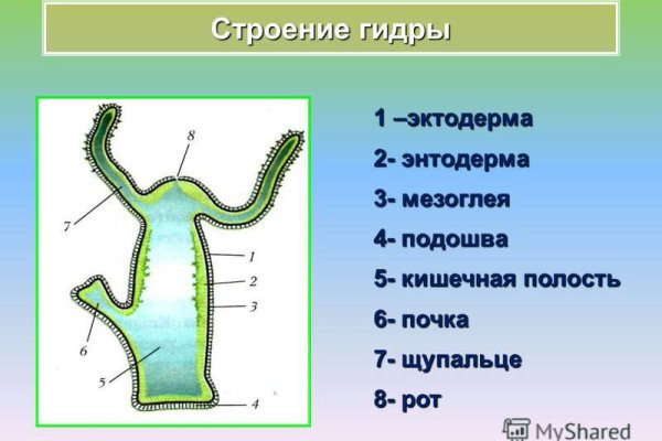 Восстановить доступ к кракену
